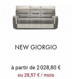 new giorgio  à partir de 2028,80 € ou 28,57 € / mois 