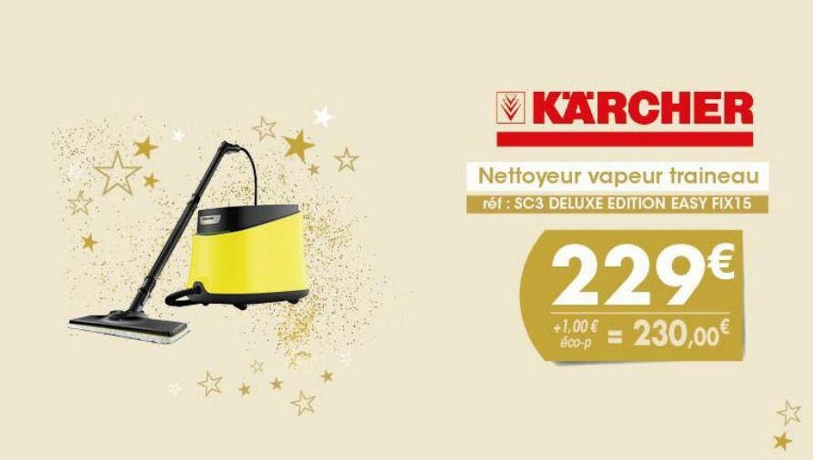 nettoyeur vapeur 