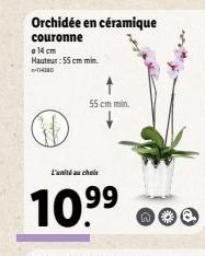 Orchidée en céramique  couronne  a 14 cm Hauteur: 55 cm min 14180  55 cm min.  L'unité au choix  10.⁹⁹  