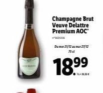 champagne brut 