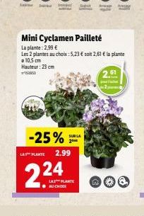 Hauteur: 23 cm  52853  LA PLANTE  Mini Cyclamen Pailleté  La plante: 2,99 €  Les 2 plantes au choix: 5,23 € soit 2,61 € la plante 10.5 cm  -25%  224  2.99  Dek  SUR LA 2  LAS PLANTE AU CHOIX  Ay  2,61