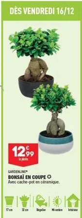 dès vendredi 16/12  12,99  la plat  gardenline  bonsaï en coupe o avec cache-pot en céramique.  17 cm  xc  regal-bre inter 
