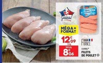 VOLANLE  FRANCAISE  MÉGA+ FORMAT  1209  15kg Sel  806  FRANCE  CORRIEL  FILETS DE POULET O 