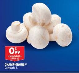 champignons 