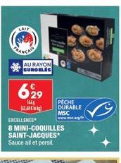 LAIT  RANG  AU RAYON SUROELES  6929  144  PECHE DURABLE MSC  EXCELLENCE  8 MINI-COQUILLES SAINT-JACQUES* Sauce al et persil. 