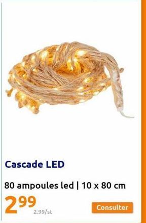 80 ampoules led | 10 x 80 cm  299  2.99/st  Consulter 