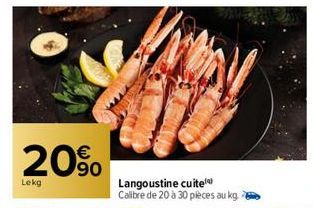 20%  Lekg  Voy  Langoustine cuite Calibre de 20 à 30 pièces au kg.  