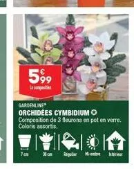 599  7cm  gardenline  orchidées cymbidium composition de 3 fleurons en pot en verre. coloris assortis.  regular miembre 