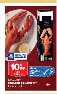 AU RAYON SURGELES  1099  150g 14 Ci  PECHE DURABLE MSC www.mt.gr  EXCELLENCE  HOMARD CANADIEN** Entier et cuit. 