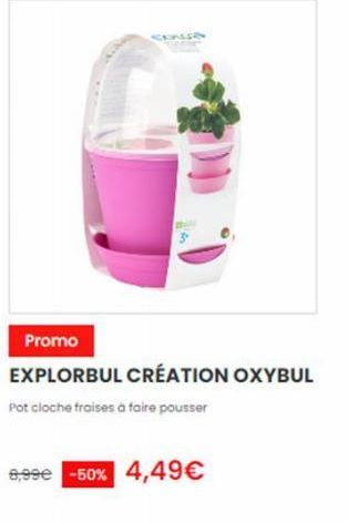 Conso  Promo  EXPLORBUL CRÉATION OXYBUL  Pot cloche fraises à faire pousser  8,99€ -50% 4,49€ 