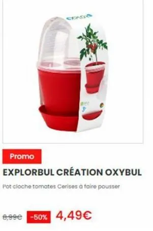consa  promo  explorbul création oxybul  pot cloche tomates cerises à faire pousser  9,99€ -50% 4,49€ 