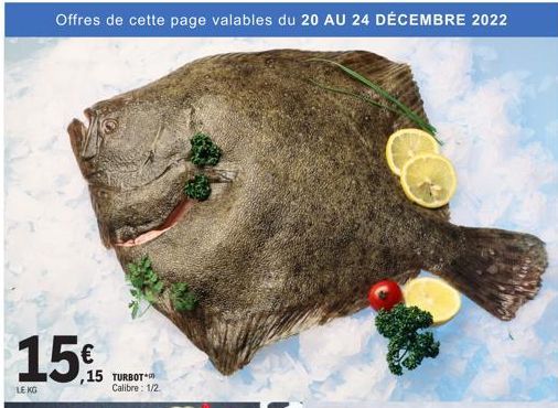 turbot 