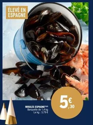 moules 