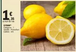1  35  lefilet de 1 kg  citron categorie: 1  var: primofiori care: 4/5 