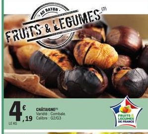 4%  LE KG  CHATAIGNE Variété Combale  ,19 Calibre: 62/63  FRUITS LEGUMES  DE FRANCE 