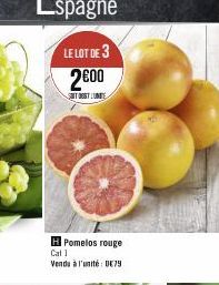 LE LOT DE 3  2600  TEST LUMITE  H Pomelos rouge  Cat 1  Vendu à l'unité 079 