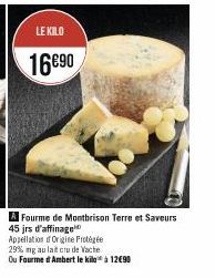 LE KILO  16€90  Fourme de Montbrison Terre et Saveurs  45 jrs d'affinage  Appellation of Origine Frotégée  29% mg au lait cru de Vache.  Ou Fourme d'Ambert le kilo à 12€90 