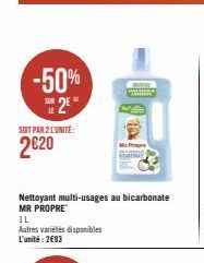 multi-usages Mr Propre