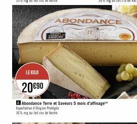 LE KILO  20€90  ABONDANCE  Abondance Terre et Saveurs 5 mois d'affinage Appellation d'Origine Protégée 30% mg au lait cru de Vache 