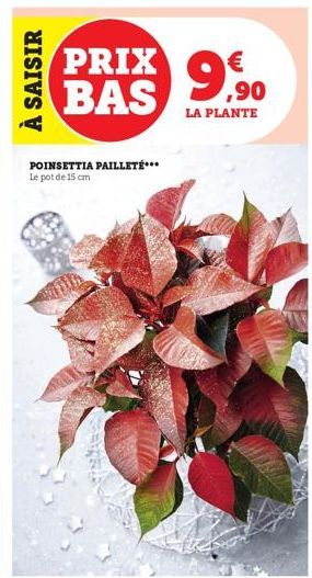 À SAISIR  PRIX 9,90  BAS  LA PLANTE  POINSETTIA PAILLETÉ*** Le pot de 15 cm 