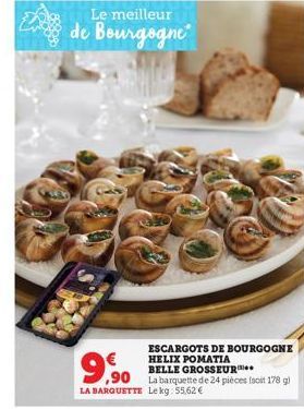 escargots 