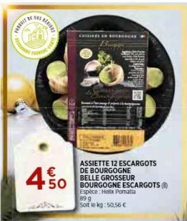 escargots 