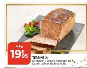 terrine st marc