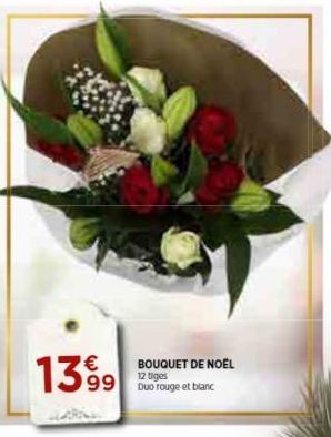 20  €  1399  BOUQUET DE NOEL  12 tiges Duo rouge et blanc 