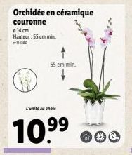 Orchidée en céramique  couronne  a 14 cm Hauteur: 55 cm min 14180  55 cm min.  L'unité au choix  10.⁹⁹  