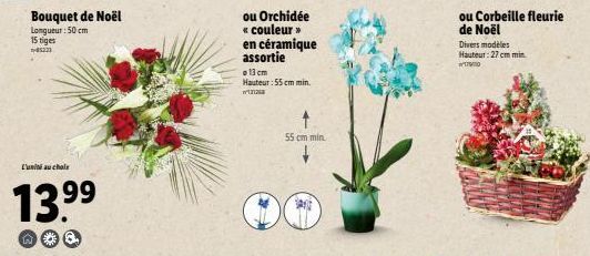 Bouquet de Noël  Longueur : 50cm  15 tiges  522  L'uni au chois  13.⁹9⁹  99  6  ou Orchidée « couleur >> en céramique assortie  13 cm Hauteur: 55 cm min.  אתן  55 cm min.  ou Corbeille fleurie de Noël