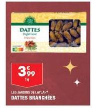 dattes 