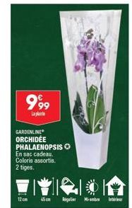 999  Laplanta  GARDENLINE ORCHIDÉE PHALAENOPSIS O En sac cadeau. Coloris assortis.  2 tiges.  12cm 45cm Regele Mimbre la 