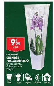 999  laplanta  gardenline orchidée phalaenopsis o en sac cadeau. coloris assortis.  2 tiges.  12cm 45cm regele mimbre la 