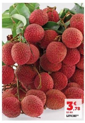 3,98  LE KG LITCHI 