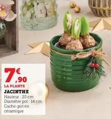 7,90  la plante jacinthe hauteur: 20 cm diamètre pot: 14 cm cache-poten céramique 