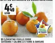 449  le kg  clementine feuille corse catégorie 1 calibre 2/3 terre & saveurs  fruits & legumes  de france 