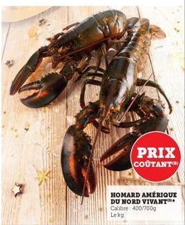 homard 