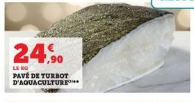 turbot 