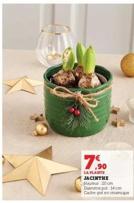 79  7€.⁹0  la plante jacinthe  hauteur: 20 cm  diamètre pot: 14 cm cache-pot en céramique 