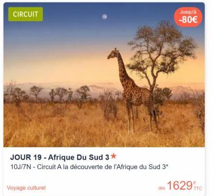 CIRCUIT  Voyage culturel  JOUR 19 - Afrique Du Sud 3*  10J/7N - Circuit A la découverte de l'Afrique du Sud 3*  Jusqu'à -80€  dès 1629fTc 