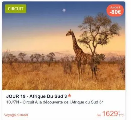 circuit  voyage culturel  jour 19 - afrique du sud 3*  10j/7n - circuit a la découverte de l'afrique du sud 3*  jusqu'à -80€  dès 1629ftc 