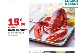 homard 