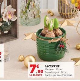 7,90  € JACINTHE Hauteur: 20 cm Diamètre pot: 14 cm  LA PLANTE Cache-pot en céramique 