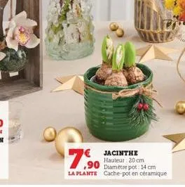 7,90  € jacinthe hauteur: 20 cm diamètre pot: 14 cm  la plante cache-pot en céramique 