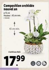 43 cm min.  Composition orchidée nouvel an  o 15 cm  Hauteur : 43 cm min.  L'unité au choix  17.⁹⁹  199  N & 