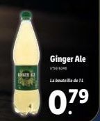 GINGER  Ginger Ale  16348  La bouteille de L  07⁹ 
