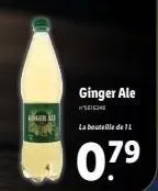 ginger  ginger ale  16348  la bouteille de l  07⁹ 