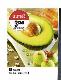 LE LOT DE 3 3€50  SORT NETTUNE  Avocat Vendu à l'unité : 1669 