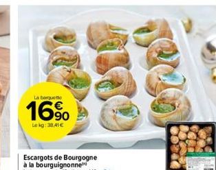 escargots 