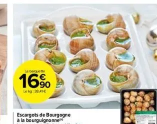 escargots 